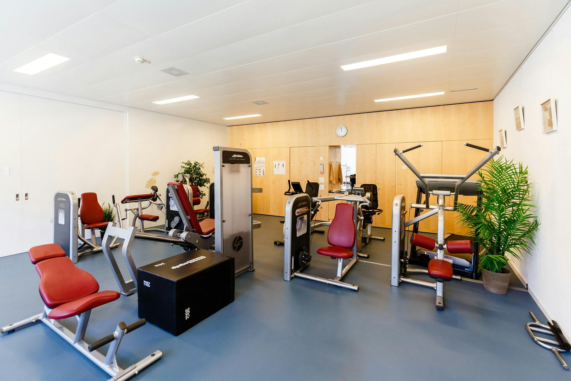 Fitnessraum mit Trainingsgeräten und Pflanzen.