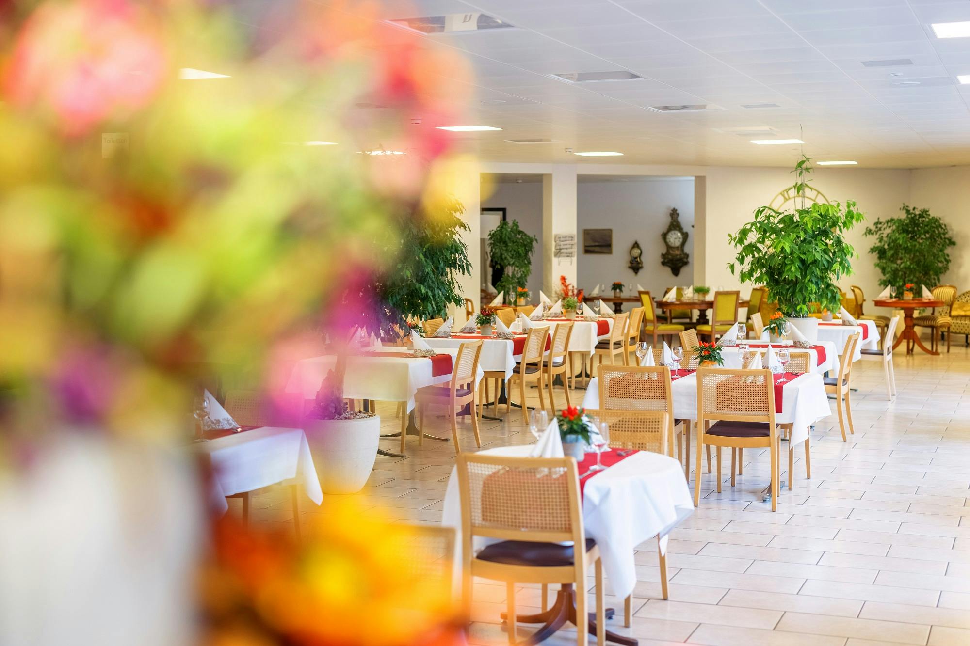 "Helles und elegantes Restaurantinterieur mit gedeckten Tischen und dezenter Dekoration."